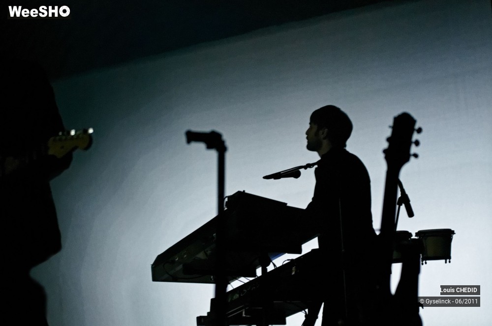 31/37 photos du spectacle Louis CHEDID