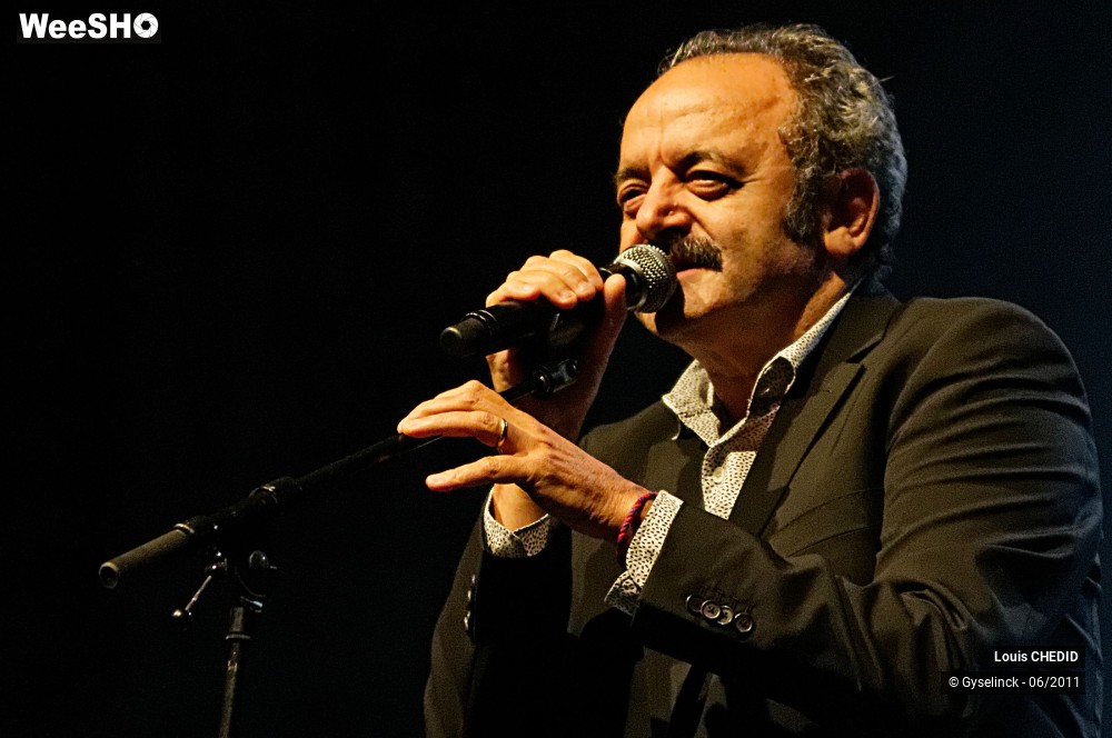 33/37 photos du spectacle Louis CHEDID