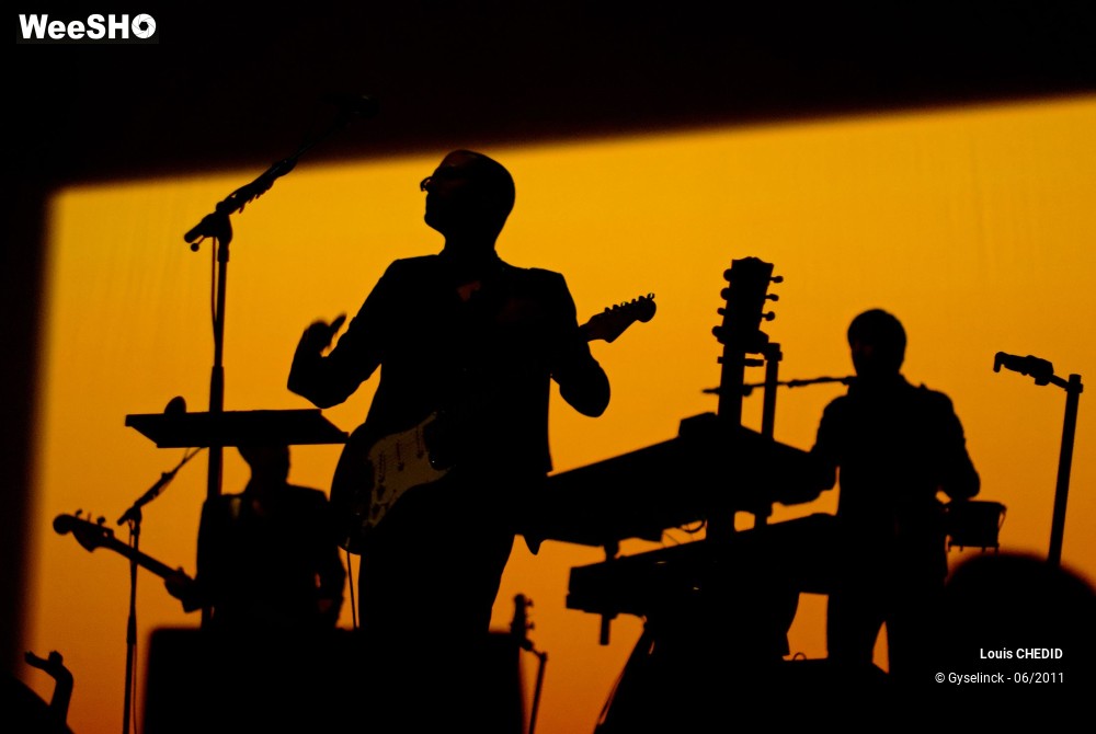 37/37 photos du spectacle Louis CHEDID