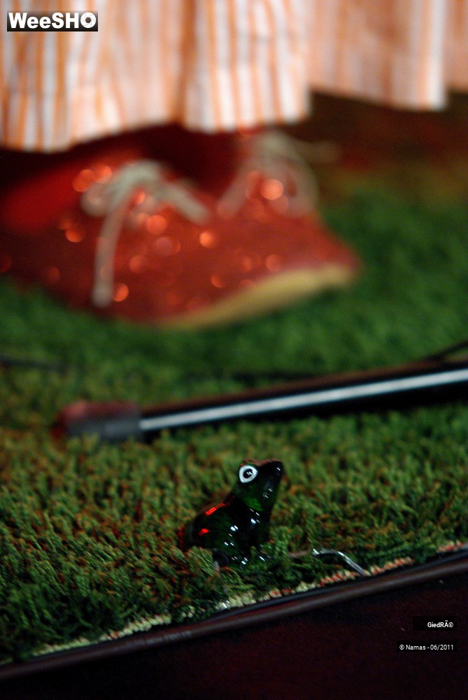 4/30 photos du spectacle GiédRé