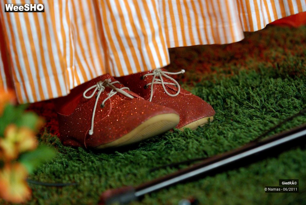 21/30 photos du spectacle GiédRé