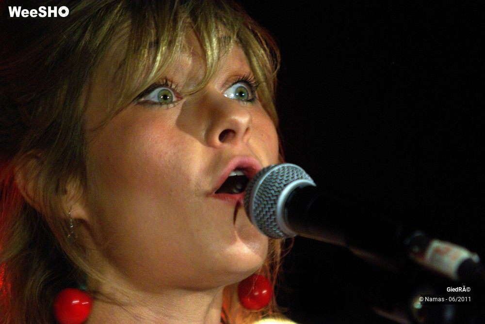 27/30 photos du spectacle GiédRé