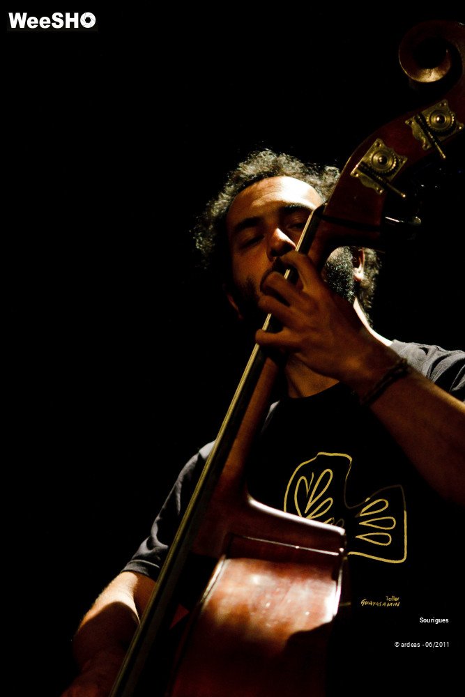 5/38 photos du spectacle Sourigues