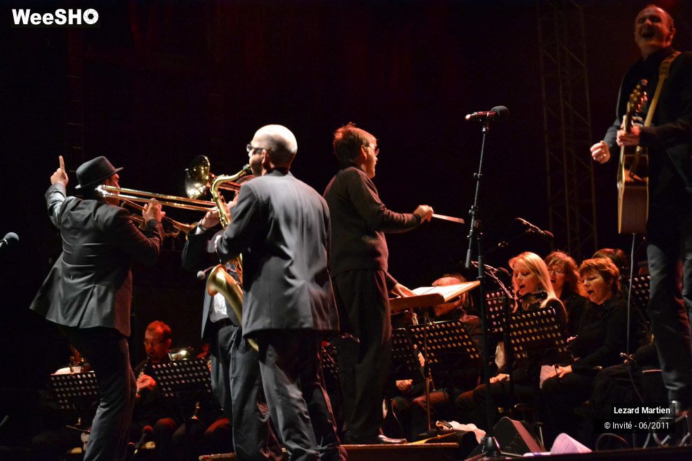 26/49 photos du spectacle Lezarmonic