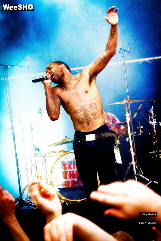 15/44 photos du spectacle Skip The Use