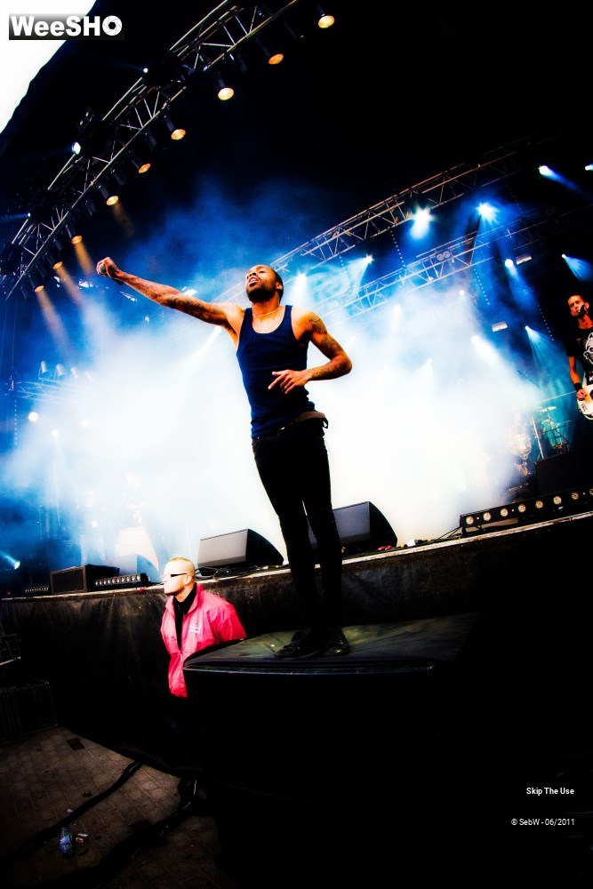 16/44 photos du spectacle Skip The Use