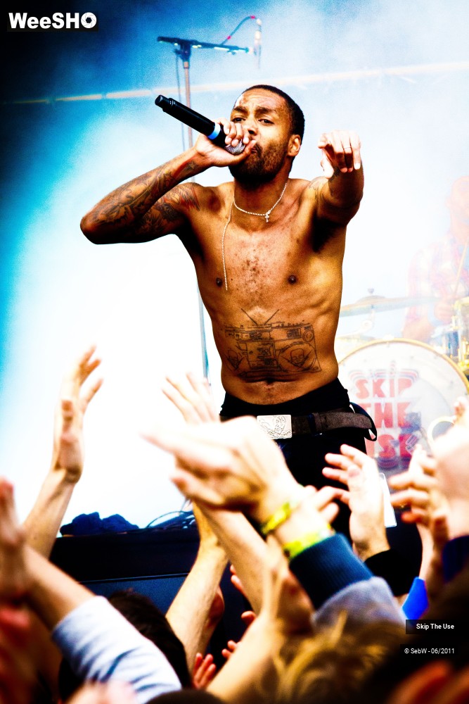 25/44 photos du spectacle Skip The Use