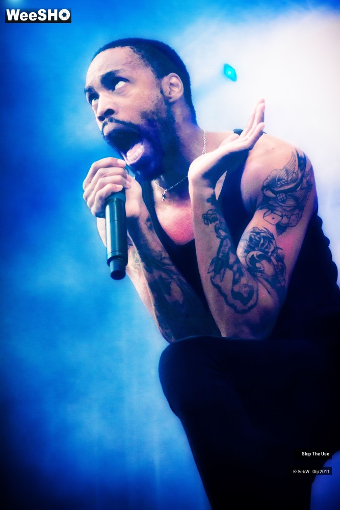 26/44 photos du spectacle Skip The Use