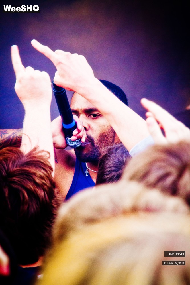 27/44 photos du spectacle Skip The Use