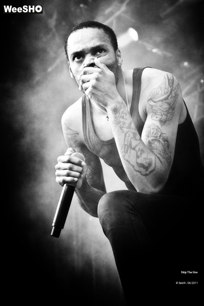 29/44 photos du spectacle Skip The Use