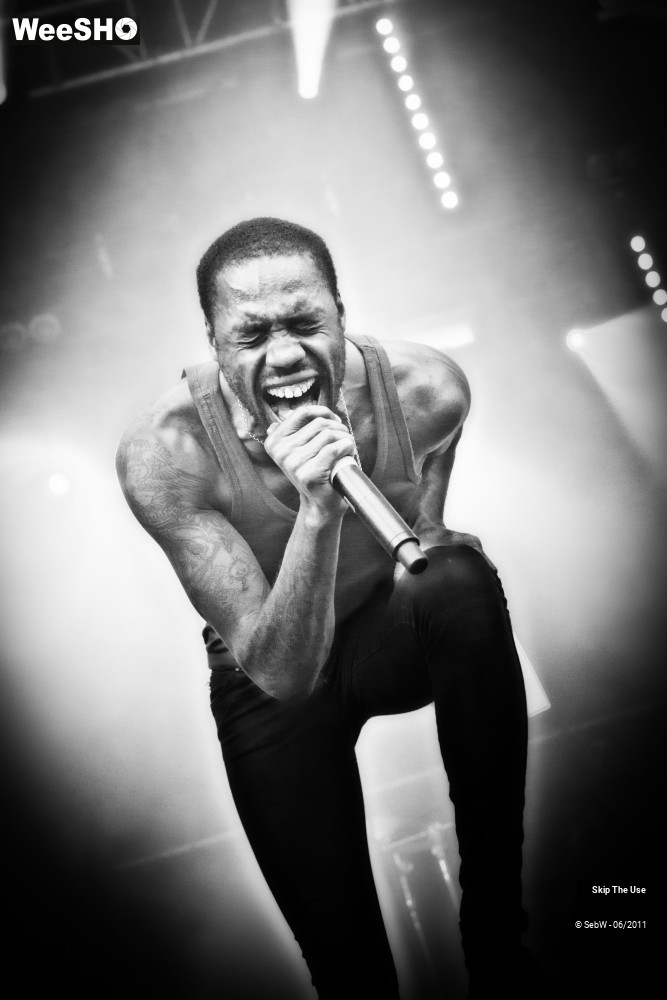 30/44 photos du spectacle Skip The Use