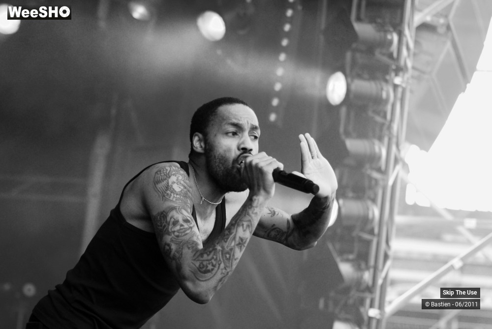 2/50 photos du spectacle Skip The Use