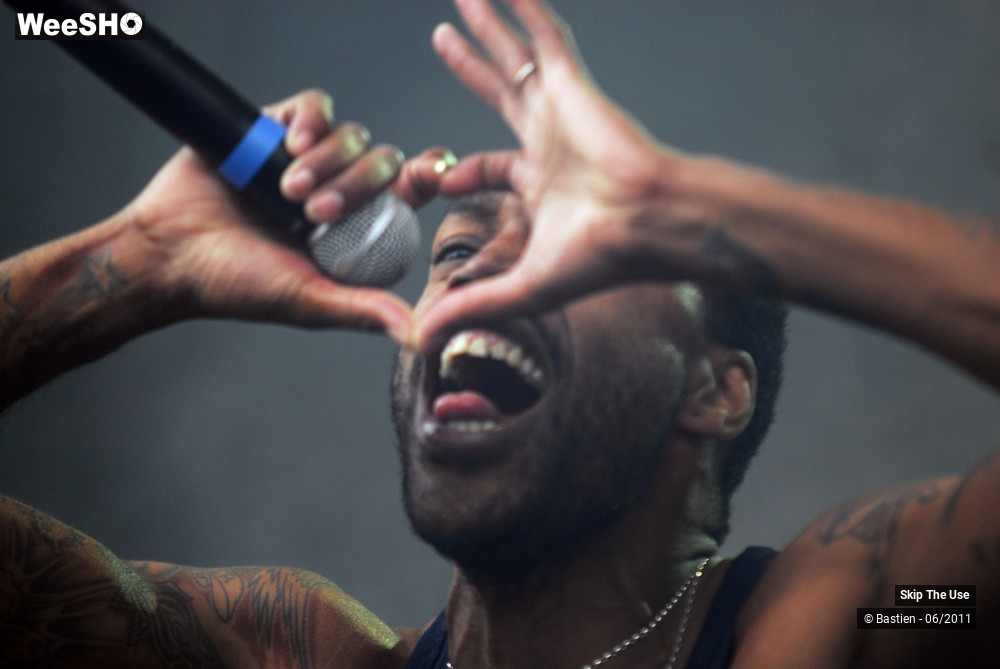 7/50 photos du spectacle Skip The Use