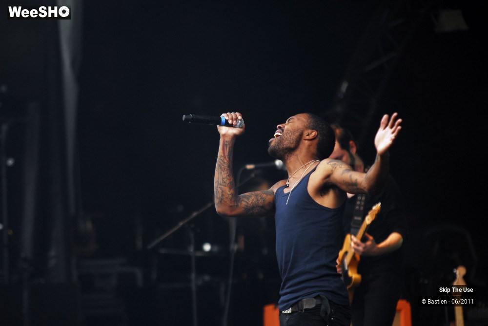 8/50 photos du spectacle Skip The Use