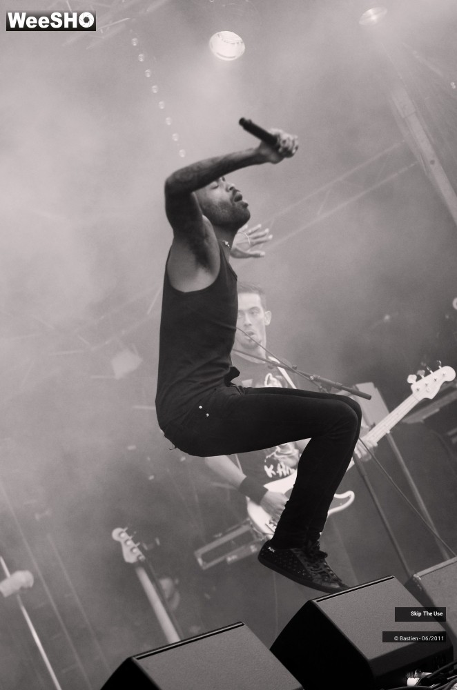 13/50 photos du spectacle Skip The Use