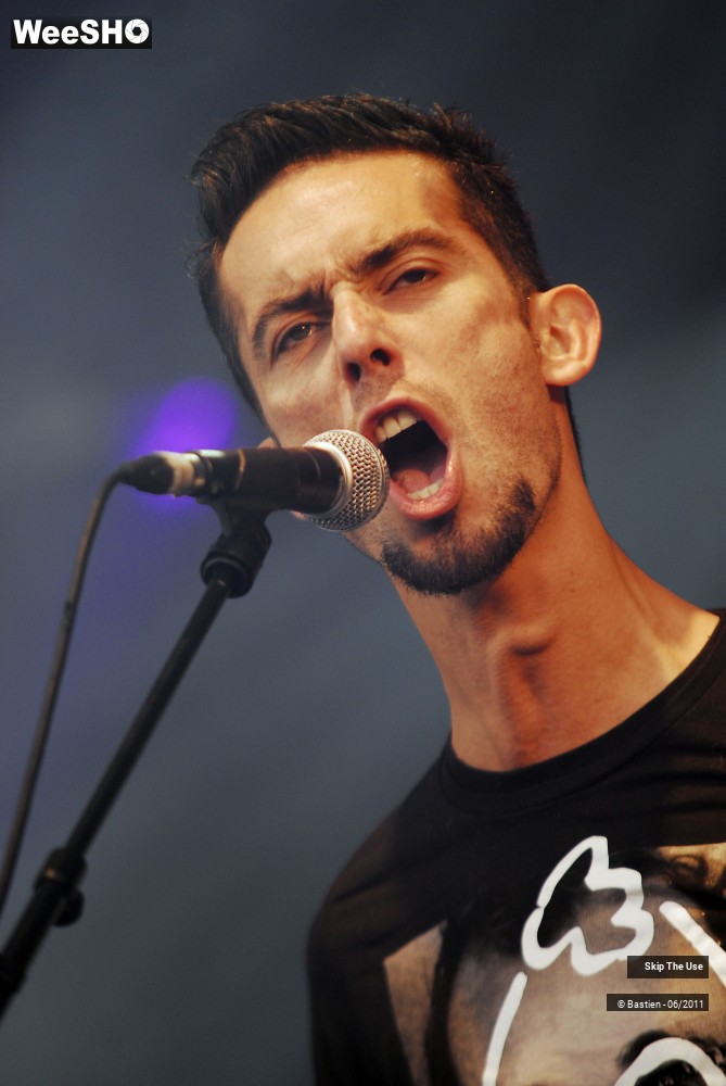 17/50 photos du spectacle Skip The Use