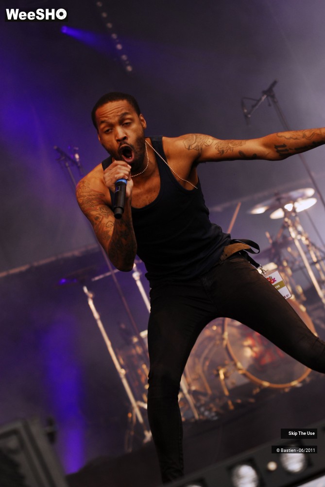 22/50 photos du spectacle Skip The Use