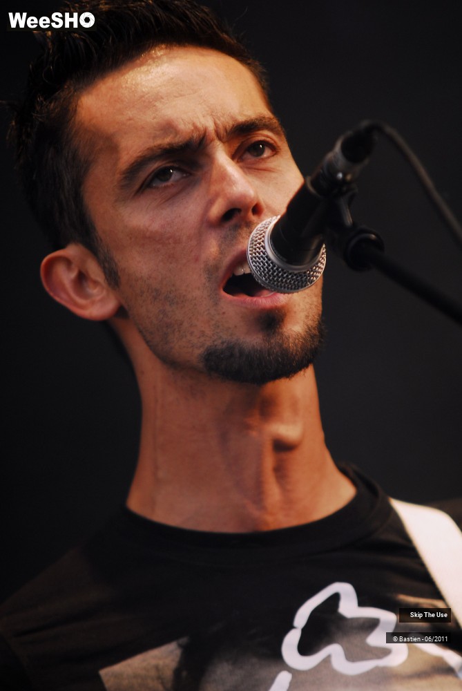 29/50 photos du spectacle Skip The Use