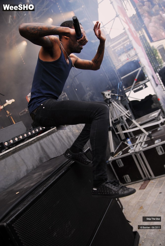 30/50 photos du spectacle Skip The Use