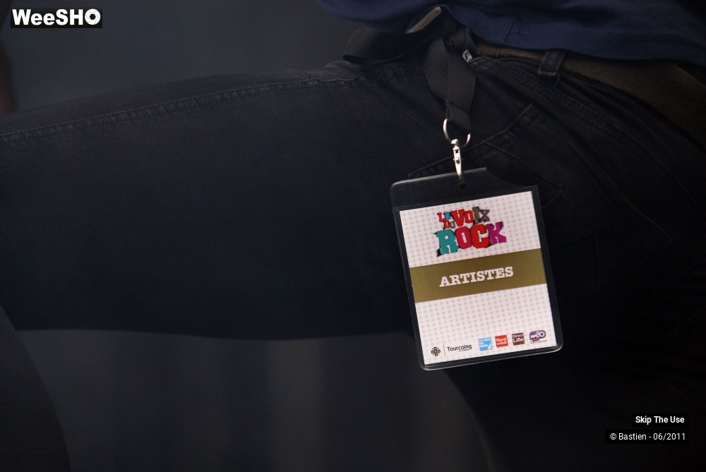 36/50 photos du spectacle Skip The Use