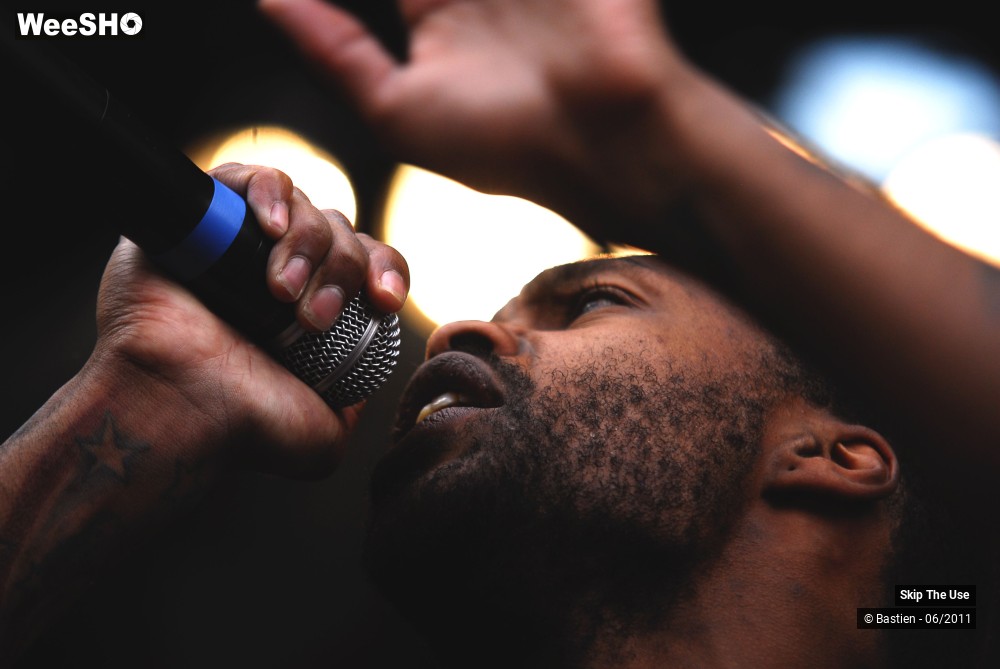 44/50 photos du spectacle Skip The Use