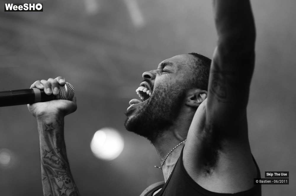 46/50 photos du spectacle Skip The Use