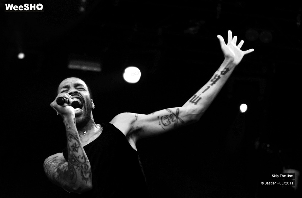 48/50 photos du spectacle Skip The Use