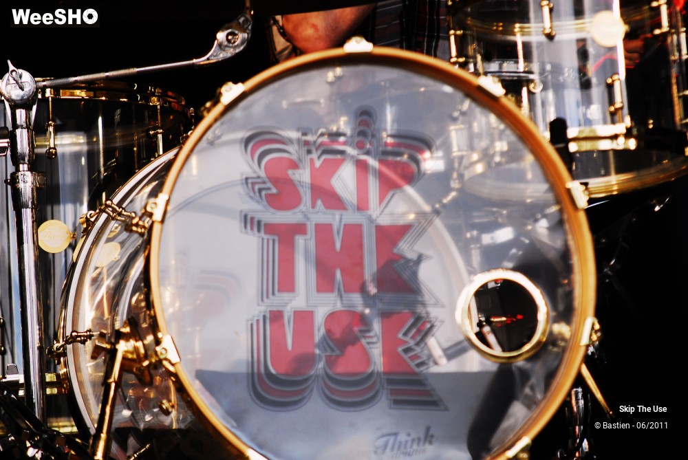 49/50 photos du spectacle Skip The Use