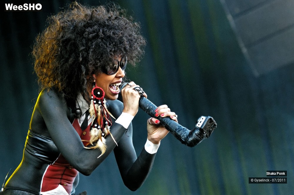 5/50 photos du spectacle Shaka Ponk