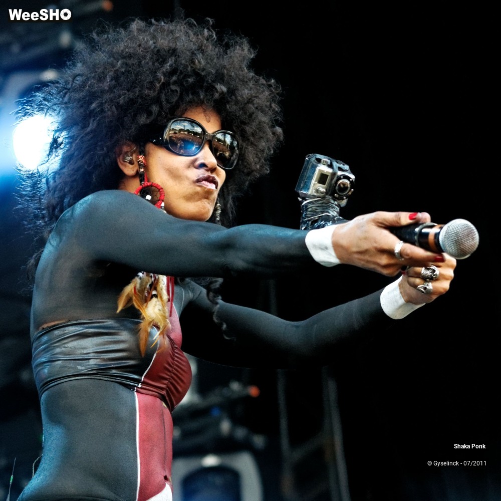 6/50 photos du spectacle Shaka Ponk