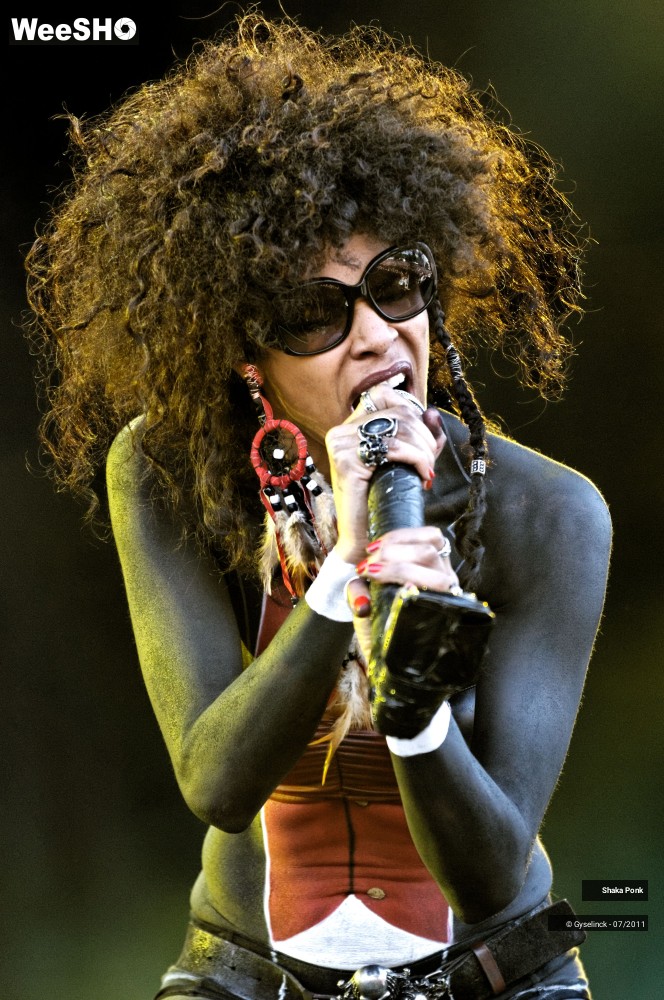 10/50 photos du spectacle Shaka Ponk