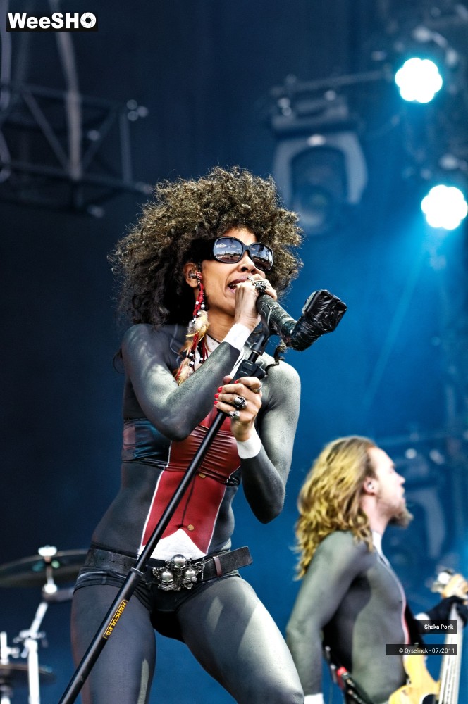 12/50 photos du spectacle Shaka Ponk