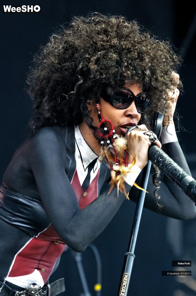 13/50 photos du spectacle Shaka Ponk