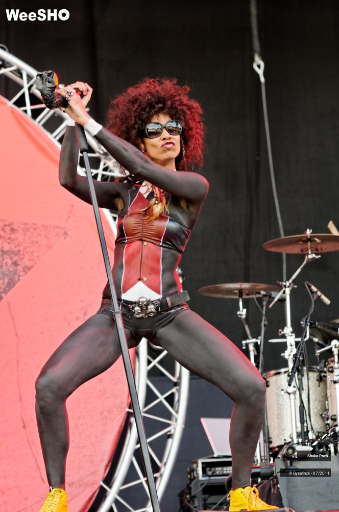 17/50 photos du spectacle Shaka Ponk