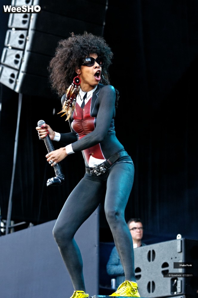 18/50 photos du spectacle Shaka Ponk