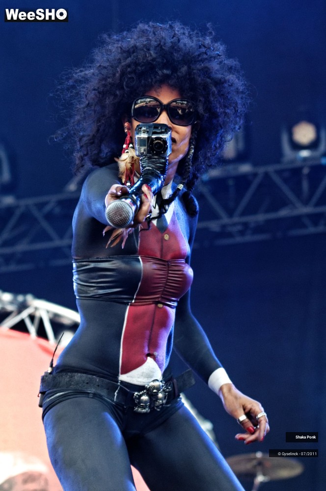 21/50 photos du spectacle Shaka Ponk