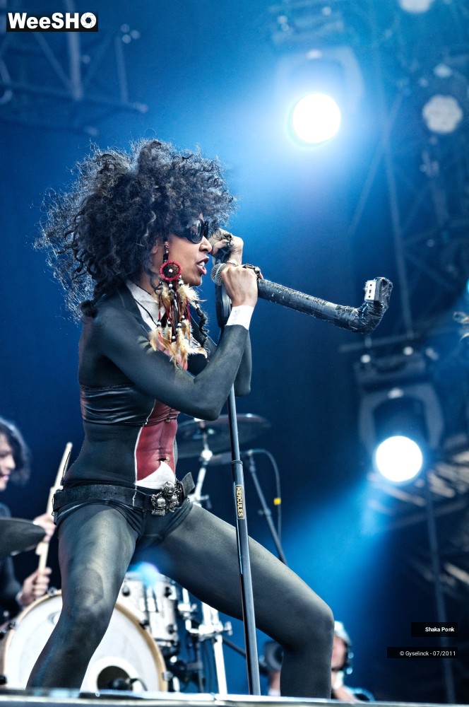 22/50 photos du spectacle Shaka Ponk