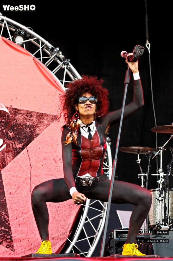 24/50 photos du spectacle Shaka Ponk