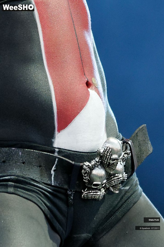 26/50 photos du spectacle Shaka Ponk