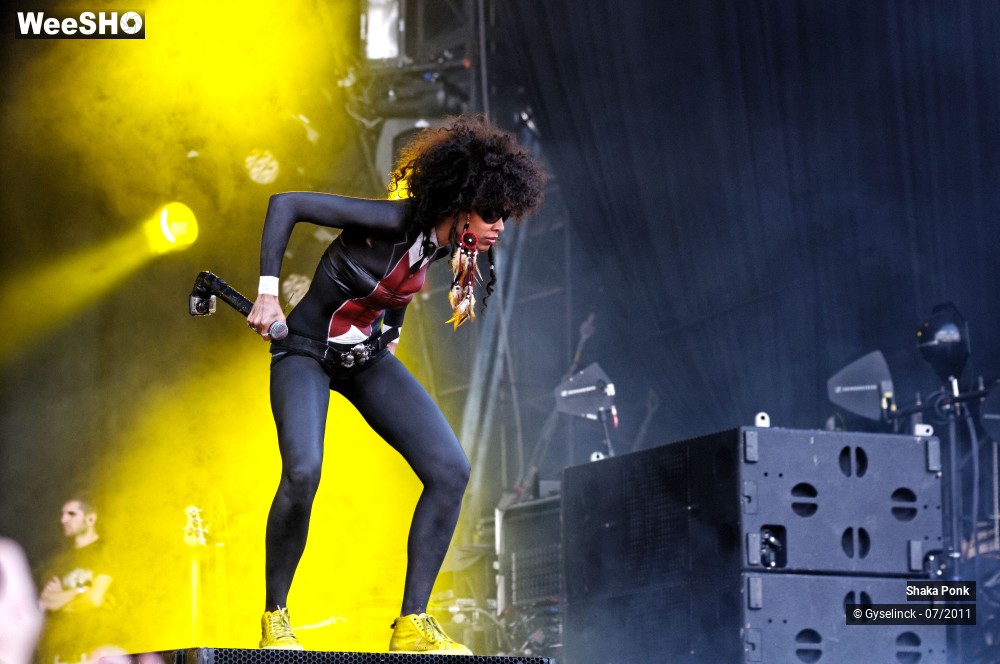 35/50 photos du spectacle Shaka Ponk