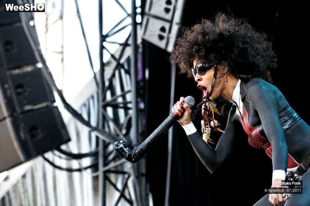 40/50 photos du spectacle Shaka Ponk