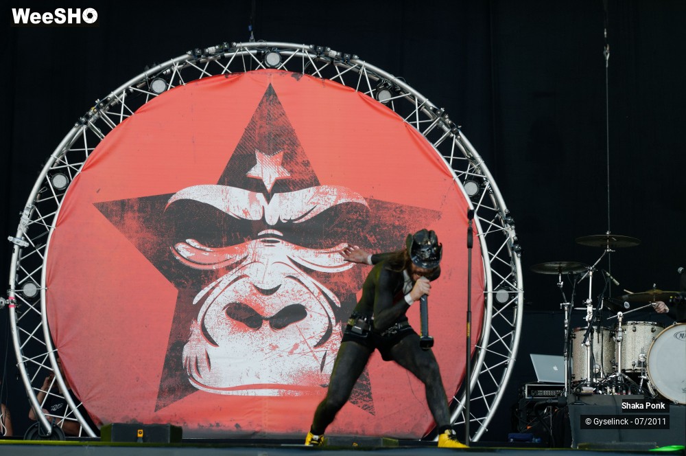 45/50 photos du spectacle Shaka Ponk