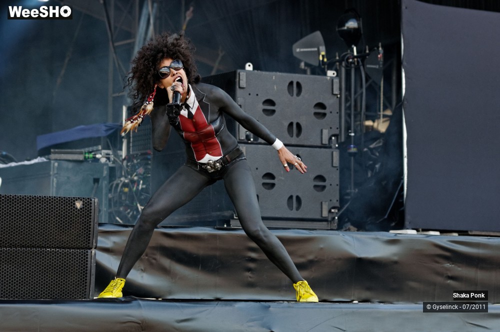 47/50 photos du spectacle Shaka Ponk