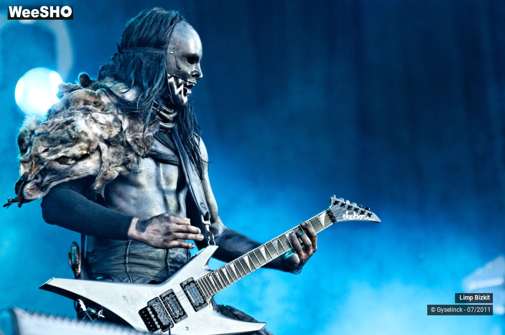 2/31 photos du spectacle Limp Bizkit