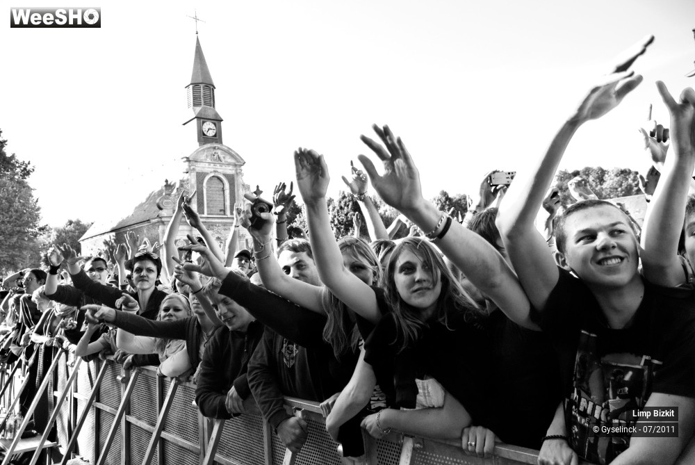 3/31 photos du spectacle Limp Bizkit