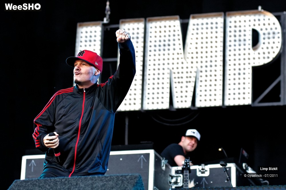 5/31 photos du spectacle Limp Bizkit