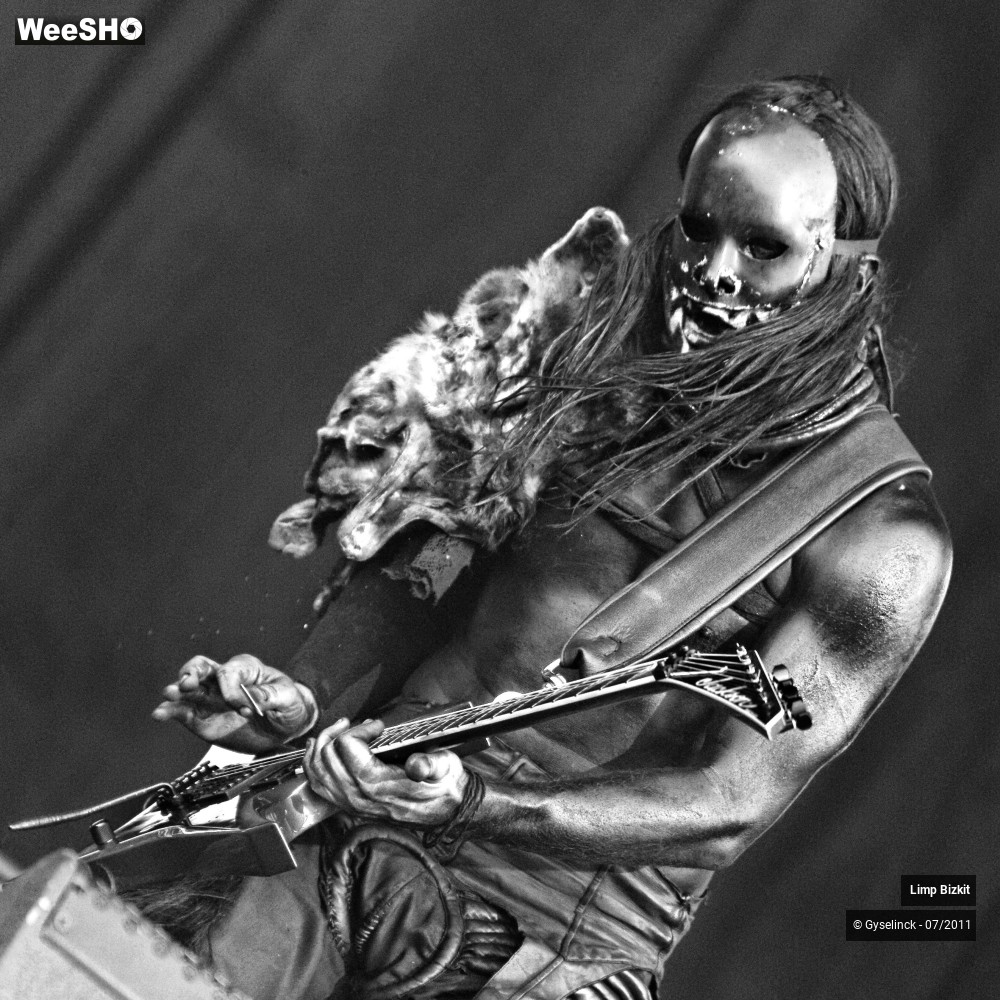 6/31 photos du spectacle Limp Bizkit