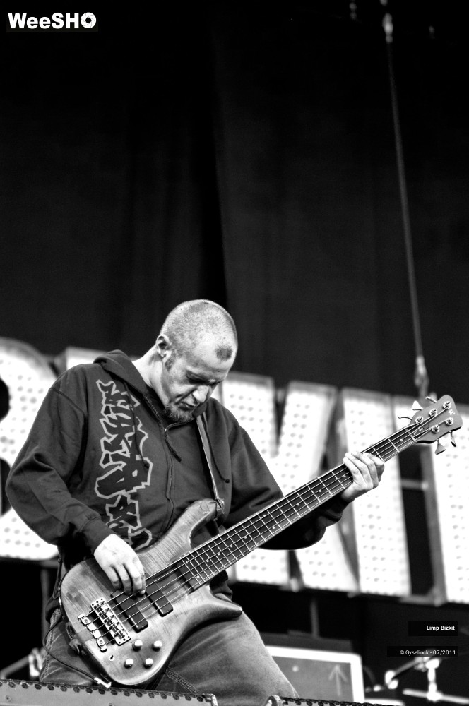 7/31 photos du spectacle Limp Bizkit