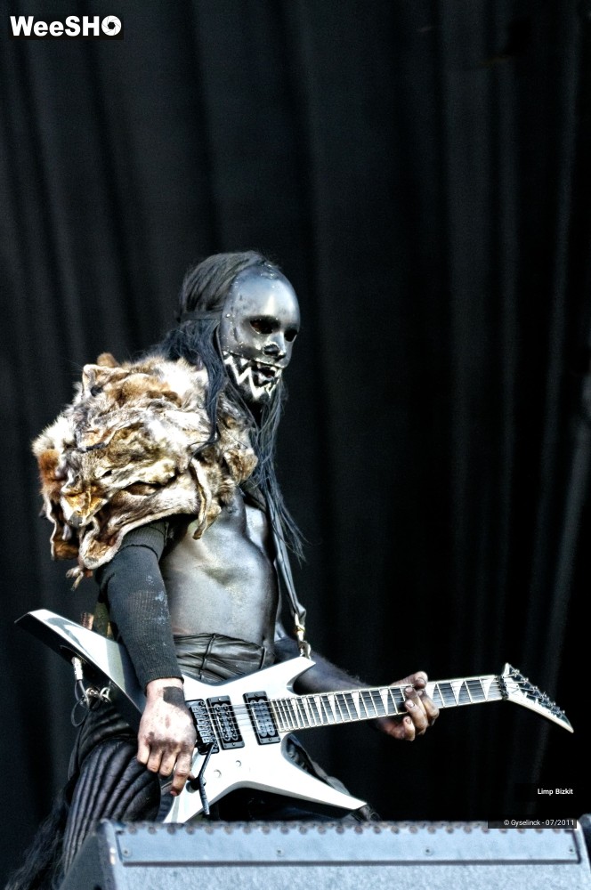 9/31 photos du spectacle Limp Bizkit