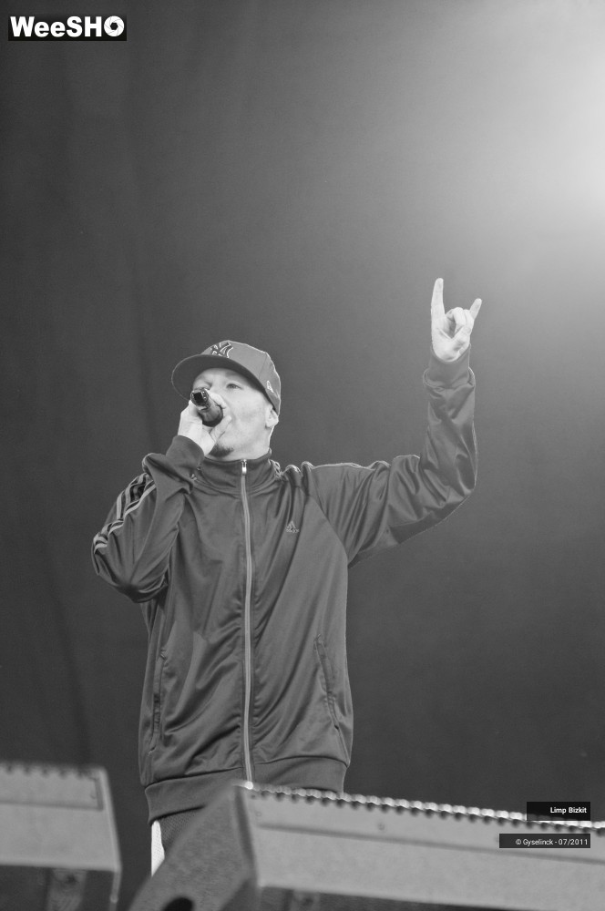 11/31 photos du spectacle Limp Bizkit